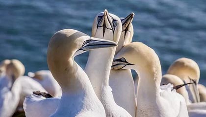 如意体育app-广州男篮分享球队踩场训练片段，郭艾伦入镜