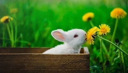 如意体育app-广州男篮分享球队踩场训练片段，郭艾伦入镜